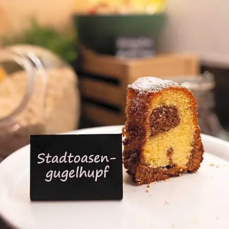 Stadtoase Kolping Linz